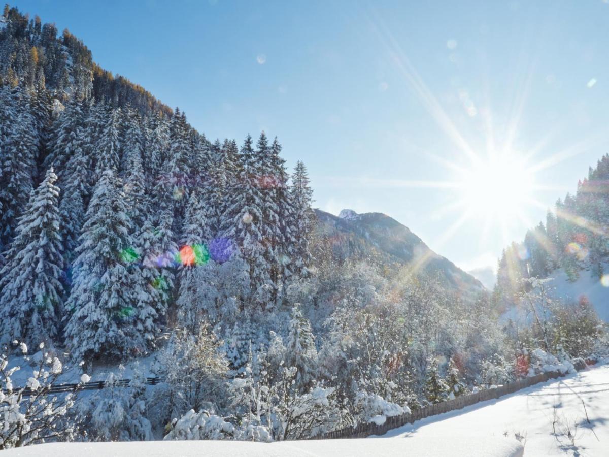 Haus Am Wildbach Apartamento Neustift im Stubaital Exterior foto